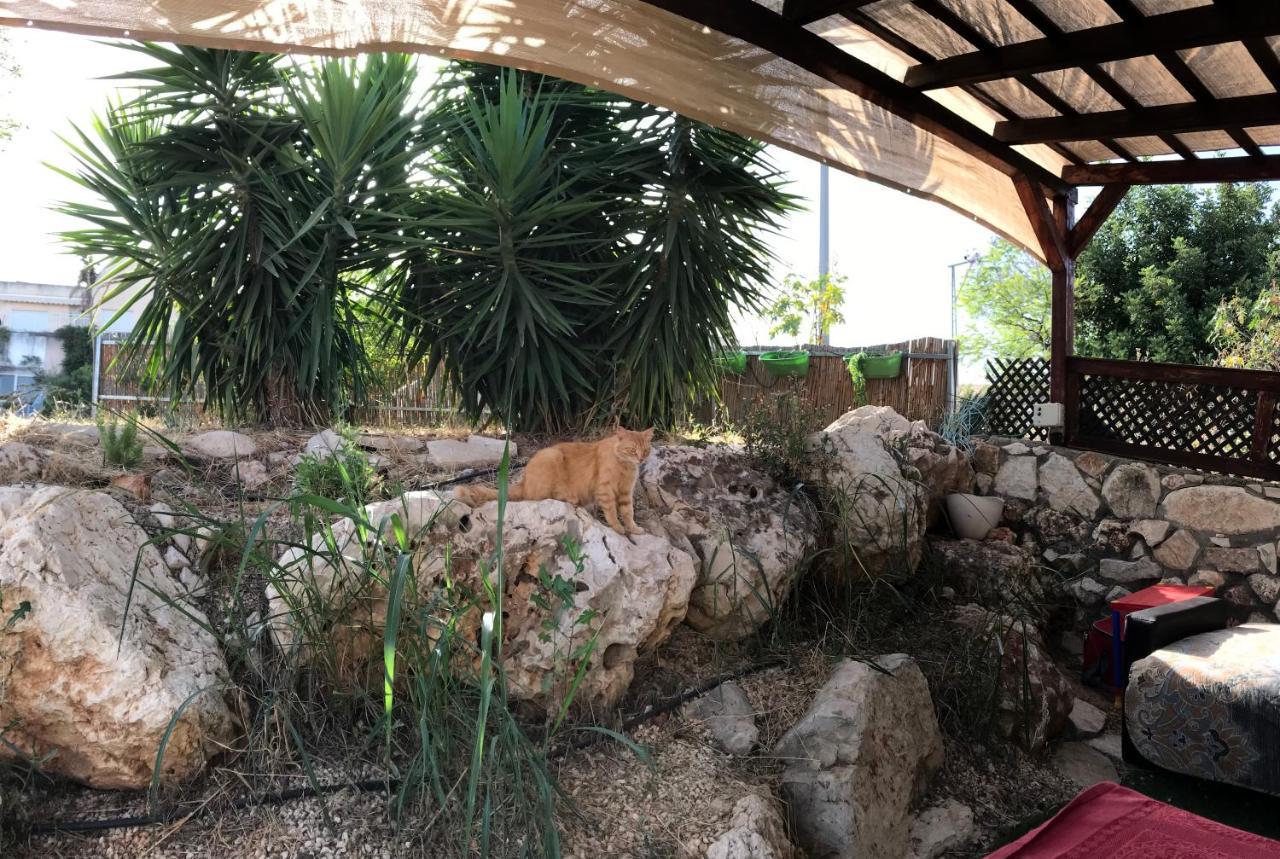 Panorama Kinneret נוף כנרת, צפת Zewnętrze zdjęcie